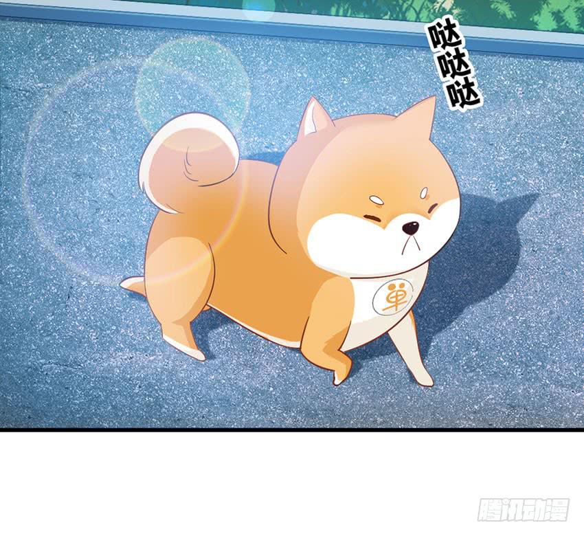 《单身少女单身狗》花坛边的小正太 第4页