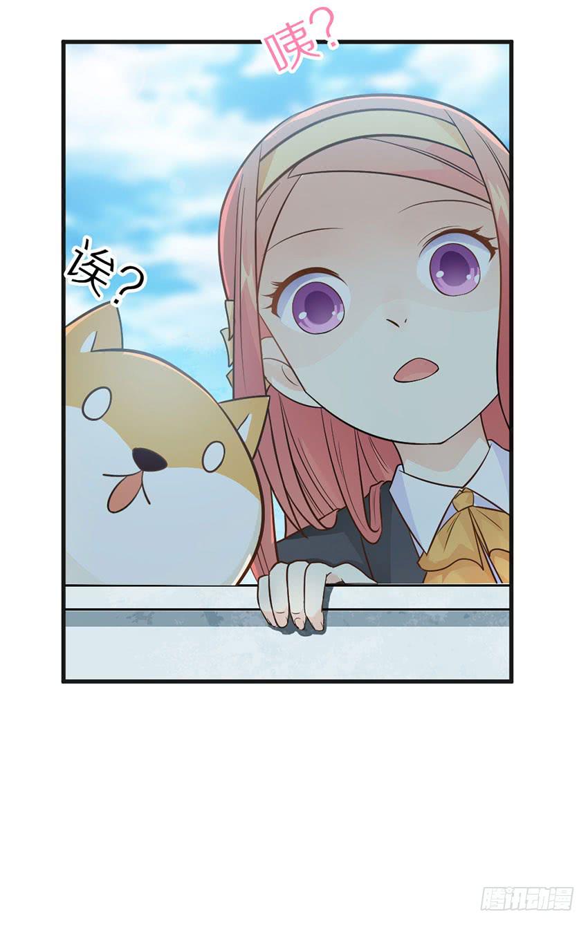 《单身少女单身狗》哭泣的叛逆偶像 第36页