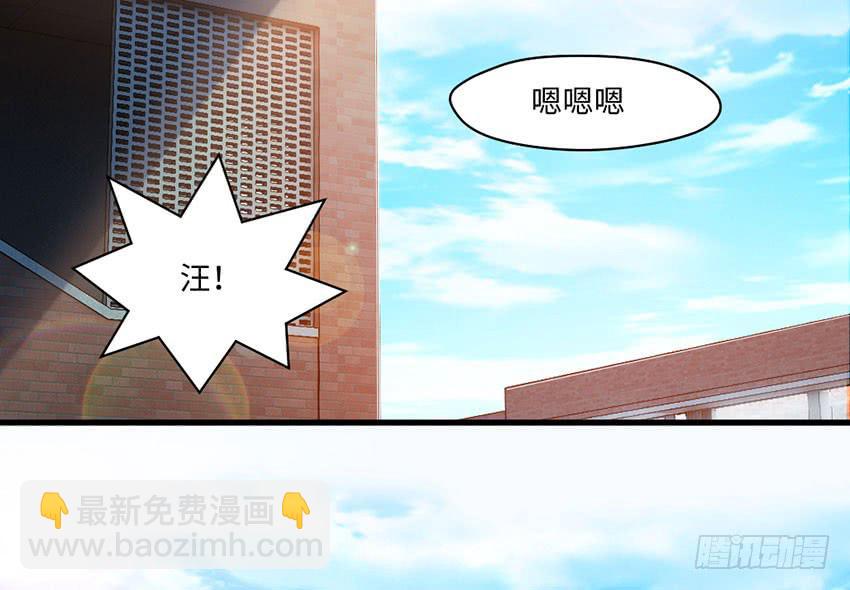 《单身少女单身狗》普通的烦恼 第34页