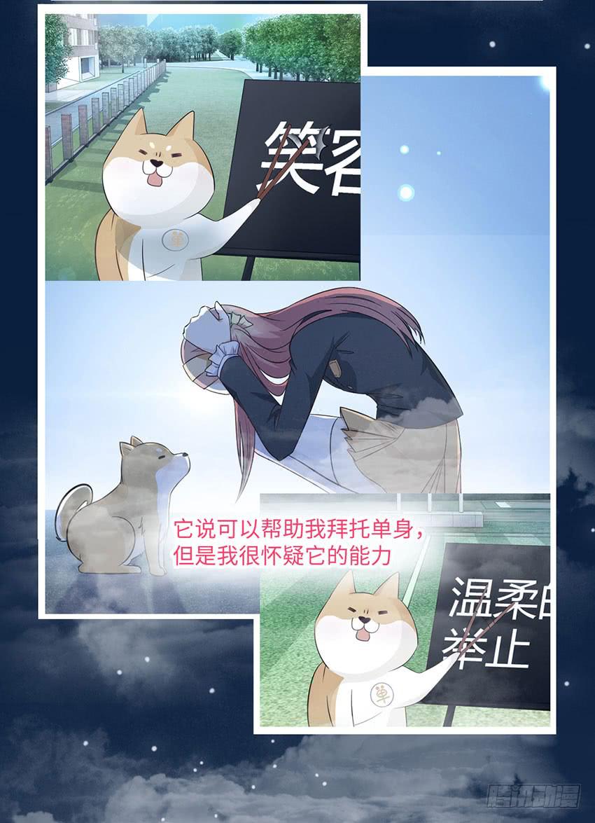 《单身少女单身狗》普通的烦恼 第5页