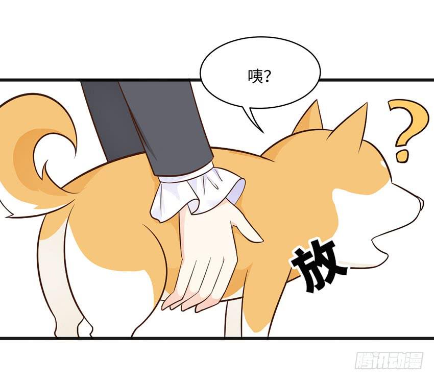 《单身少女单身狗》少女间的对决 第11页