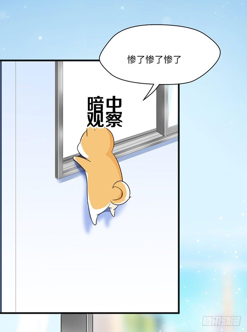 《单身少女单身狗》少女间的对决 第16页