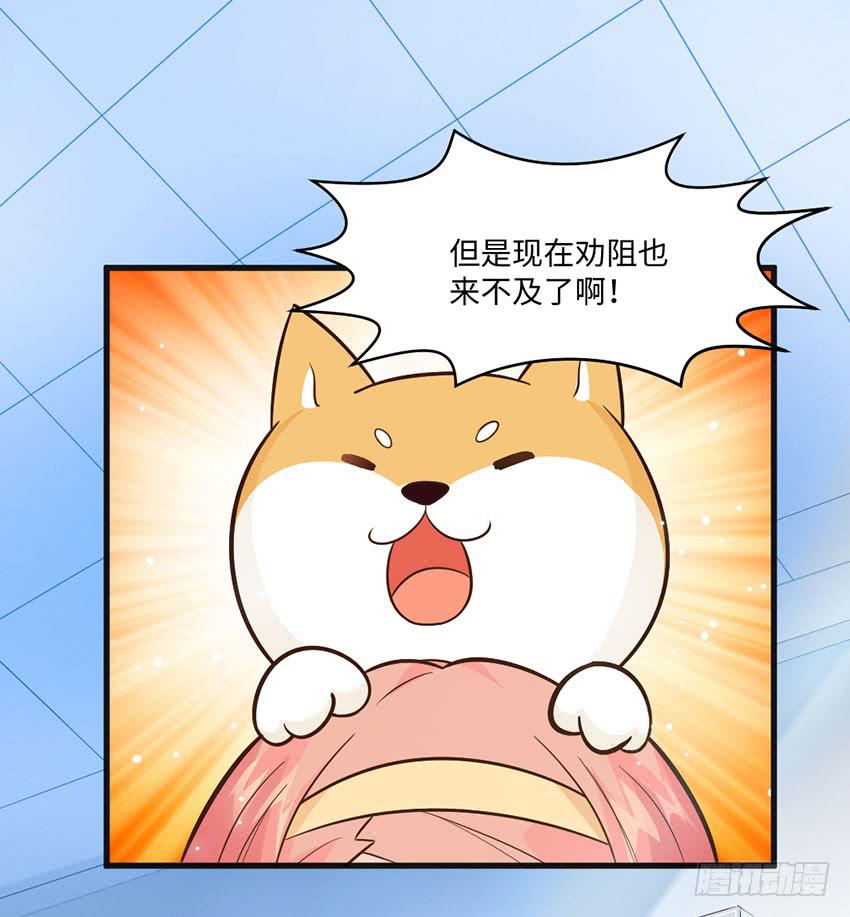 《单身少女单身狗》少女间的对决 第8页