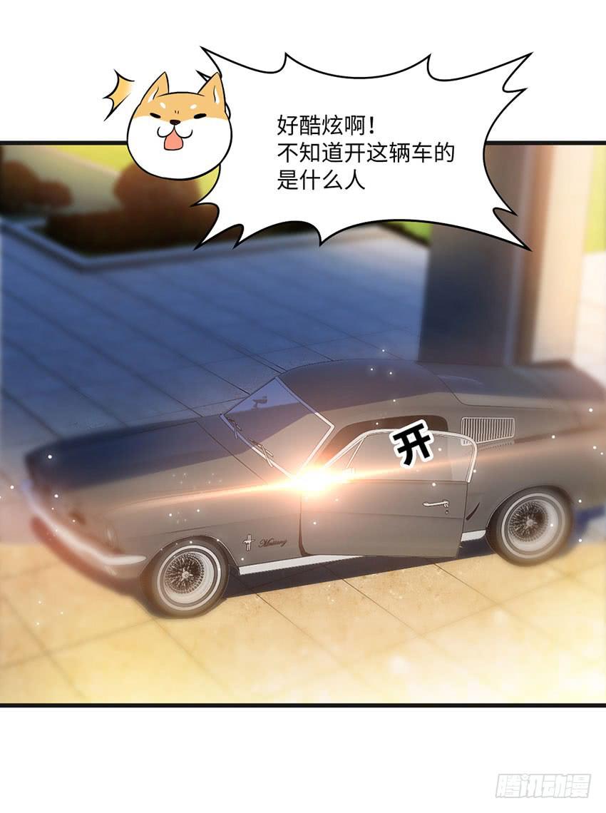 《单身少女单身狗》豪车里的男人 第22页