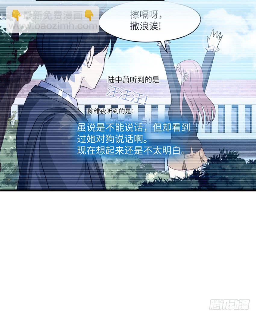 《单身少女单身狗》你的名字 第13页