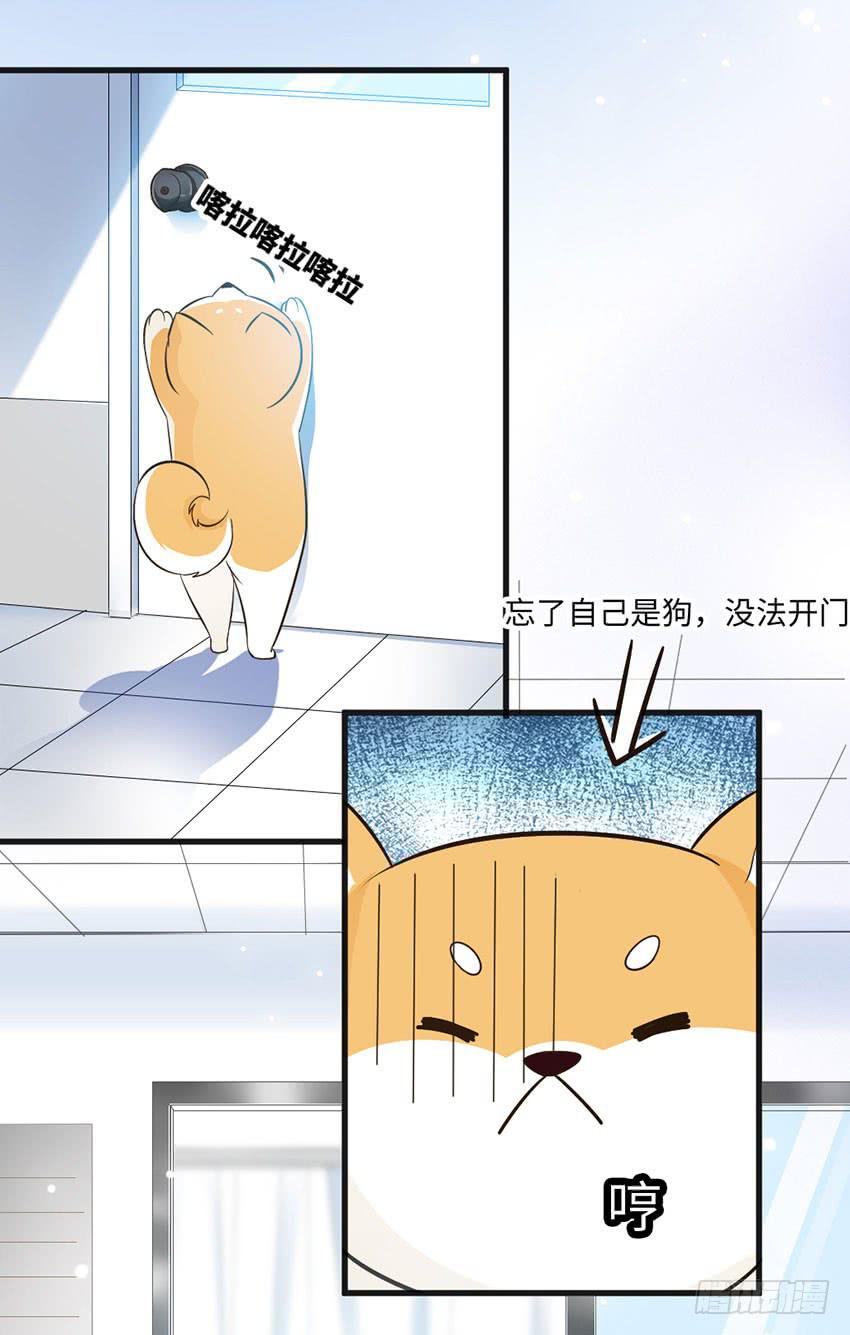 《单身少女单身狗》老师你真的是医生吗？ 第10页