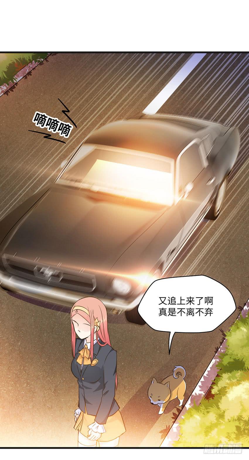 《单身少女单身狗》霸道总裁的温柔 第17页