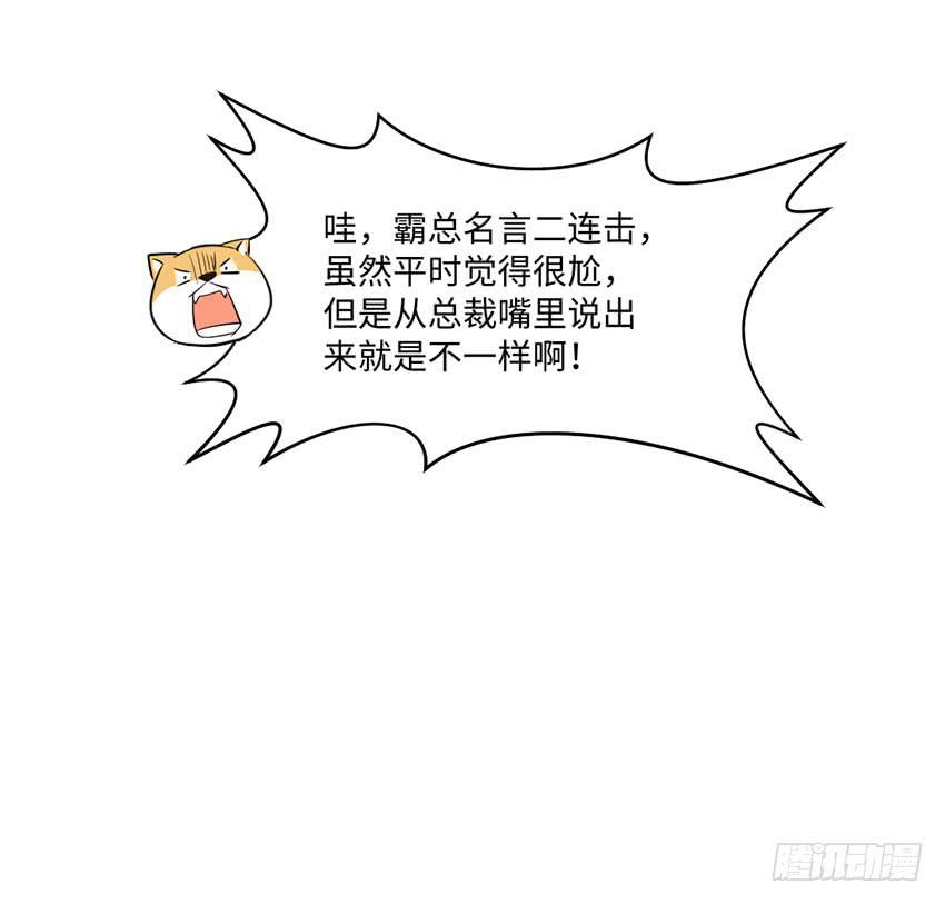 《单身少女单身狗》霸道总裁的温柔 第19页