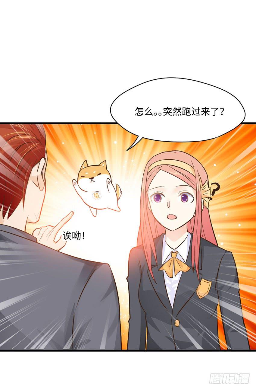 《单身少女单身狗》霸道总裁的温柔 第45页
