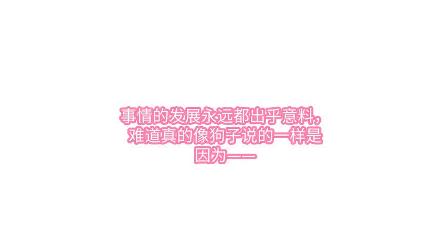 《单身少女单身狗》霸道总裁的温柔 第8页