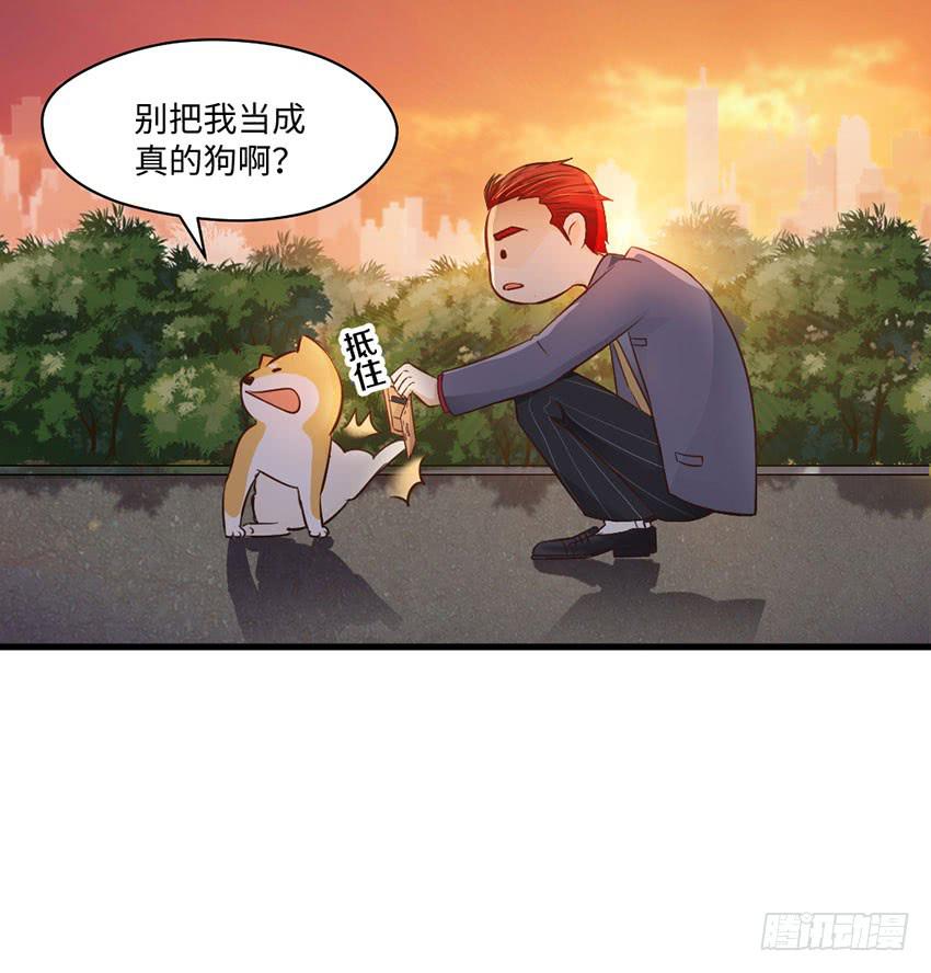 《单身少女单身狗》时空错乱？ 第13页