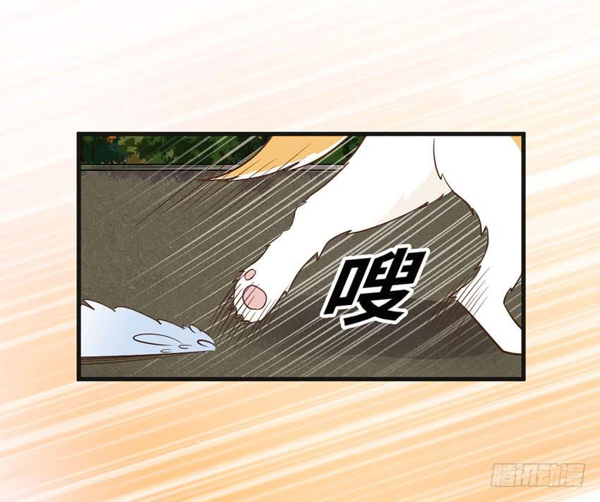 《单身少女单身狗》时空错乱？ 第16页