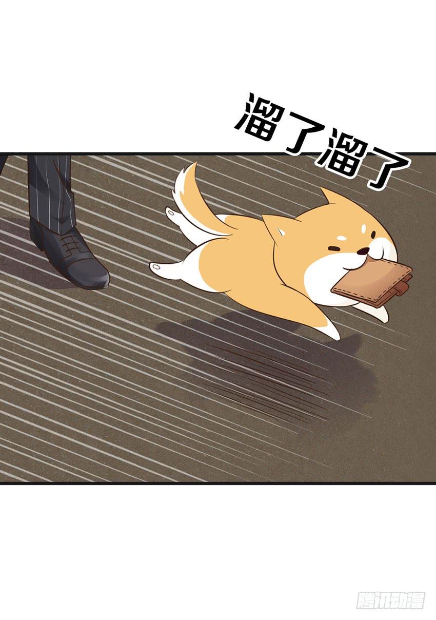 《单身少女单身狗》时空错乱？ 第18页