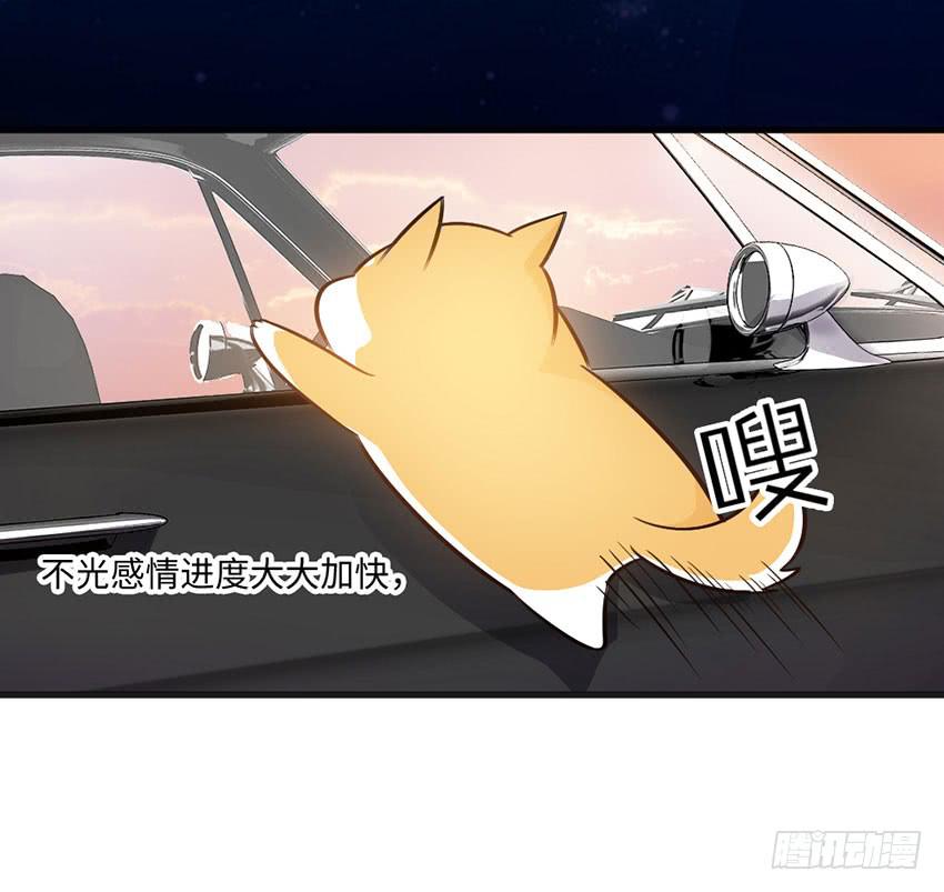 《单身少女单身狗》土豪一击 第12页