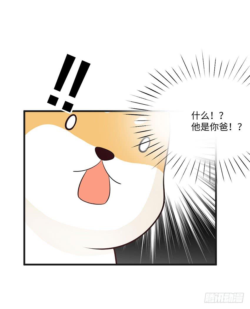 《单身少女单身狗》土豪一击 第22页