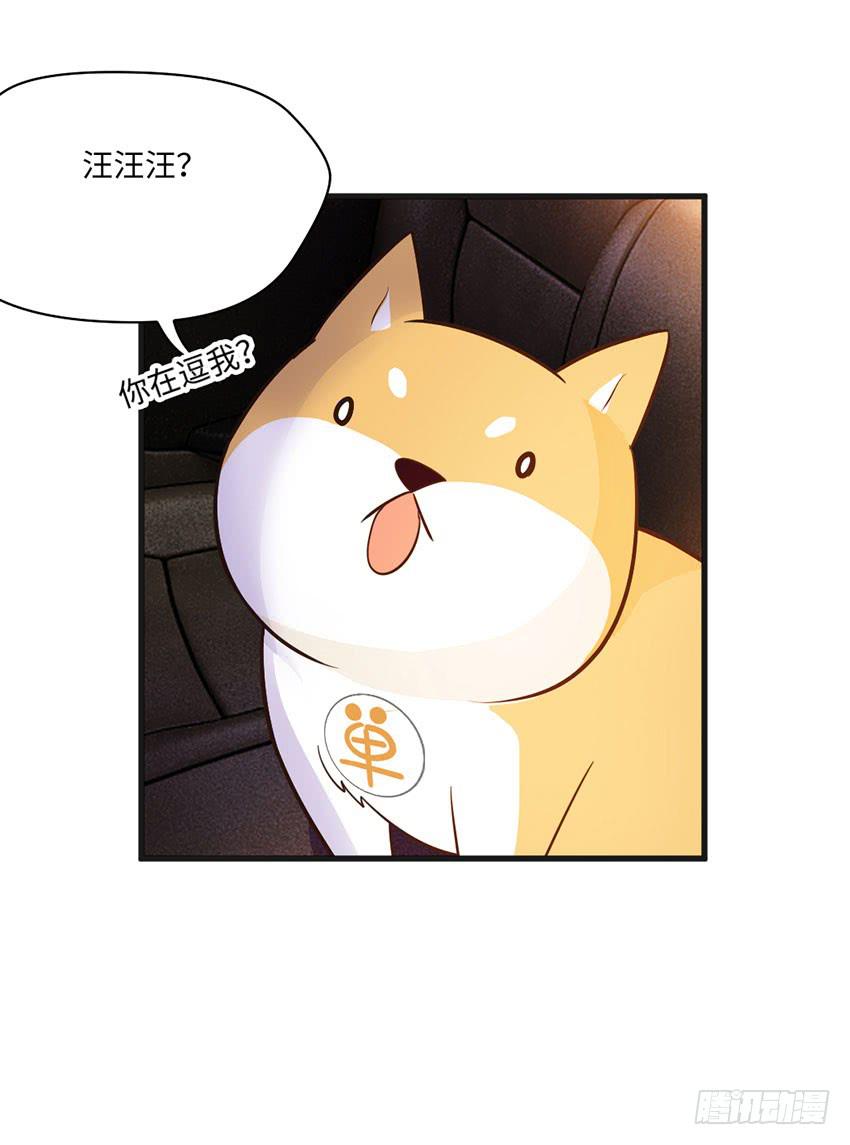 《单身少女单身狗》土豪一击 第39页