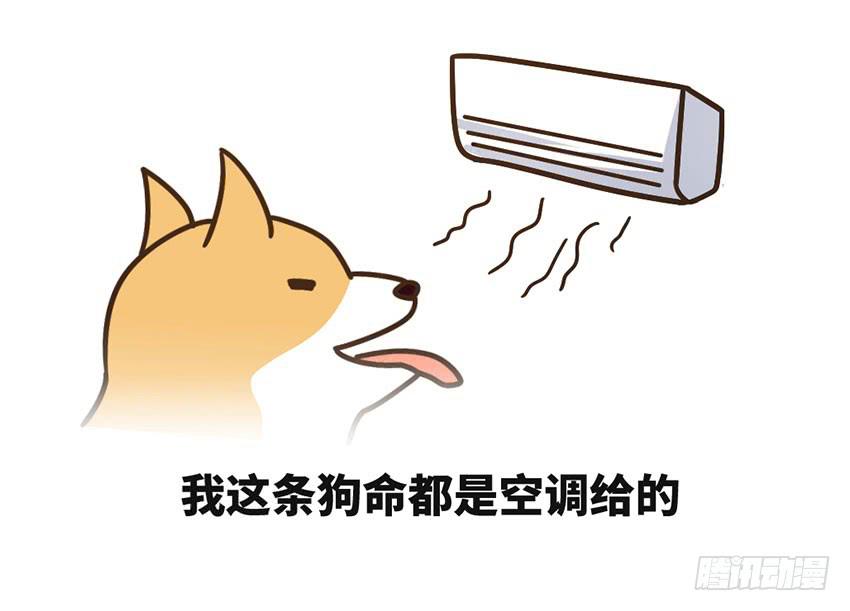 《单身少女单身狗》土豪一击 第47页