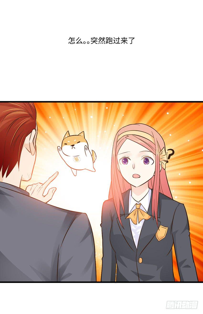 《单身少女单身狗》土豪一击 第5页