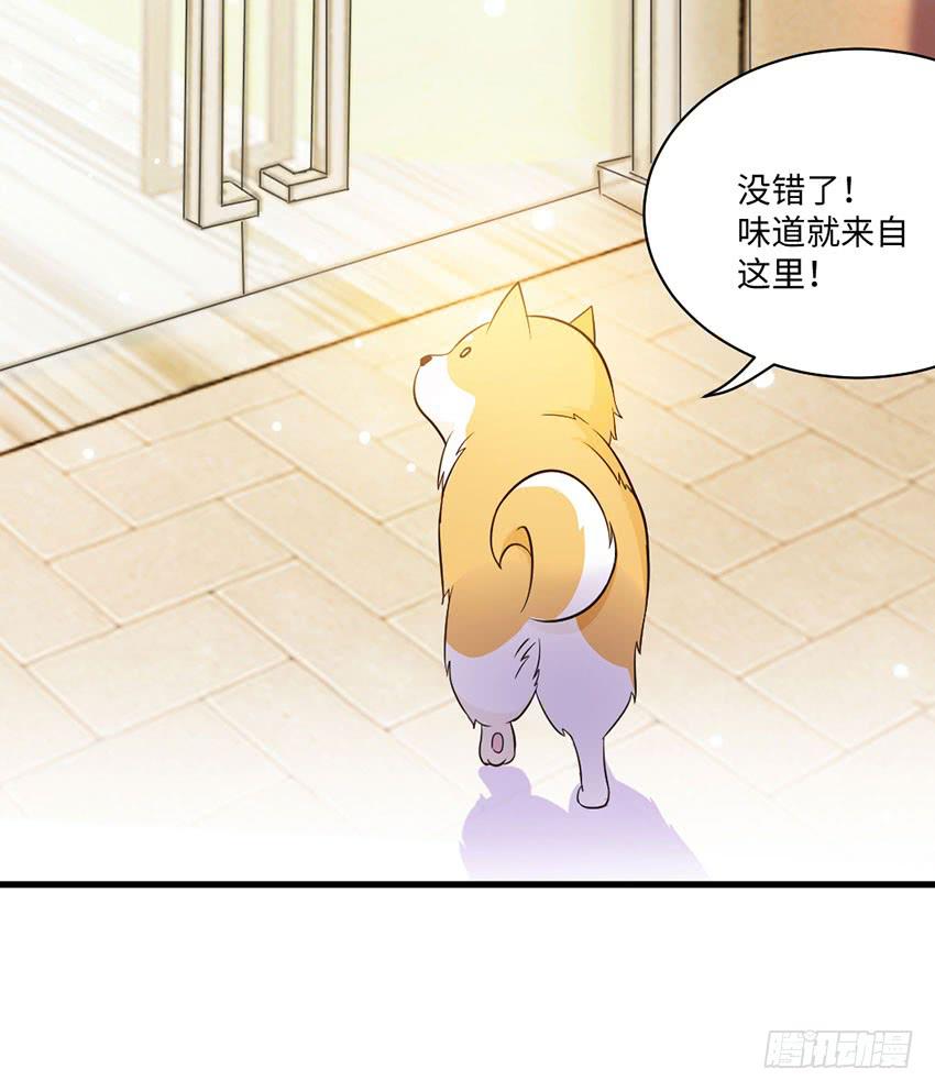 《单身少女单身狗》那个女生她还好吗？ 第23页