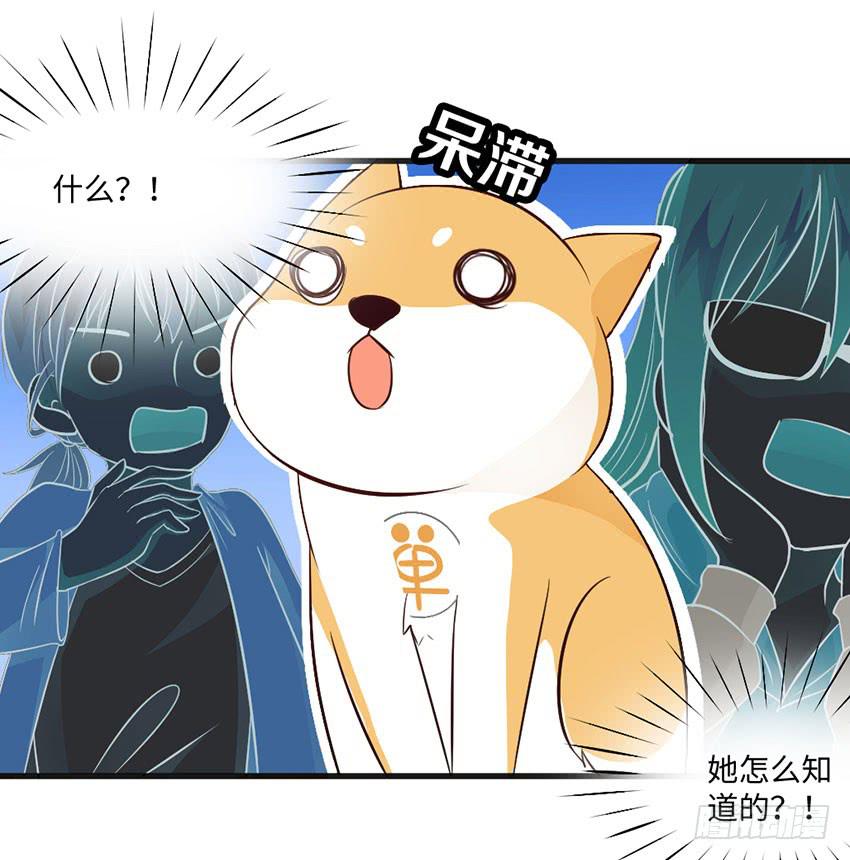 《单身少女单身狗》那个女生她还好吗？ 第43页
