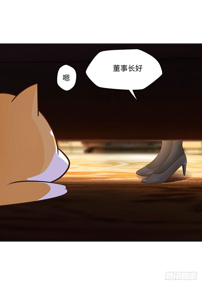 《单身少女单身狗》被买下来的甜品店 第23页