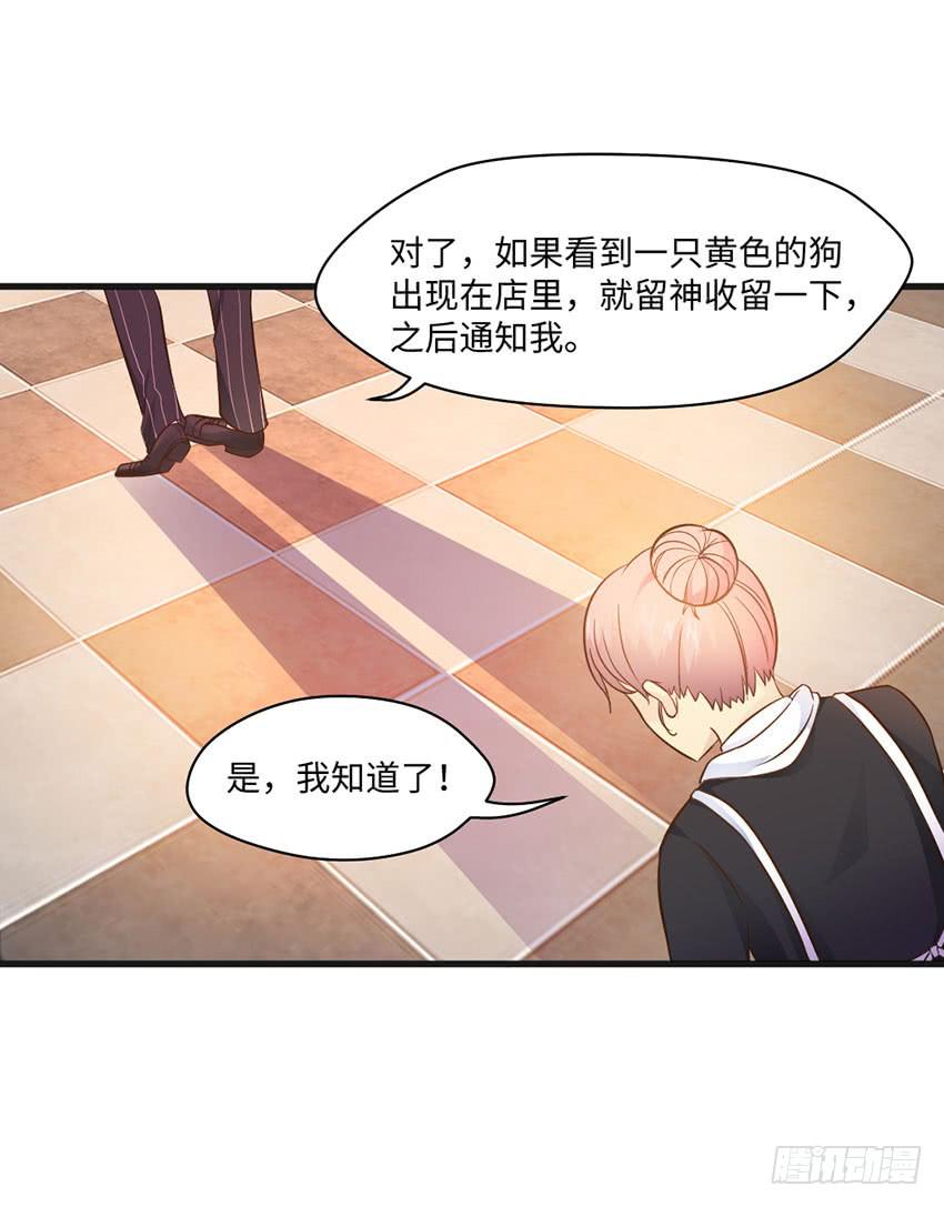 《单身少女单身狗》被买下来的甜品店 第27页