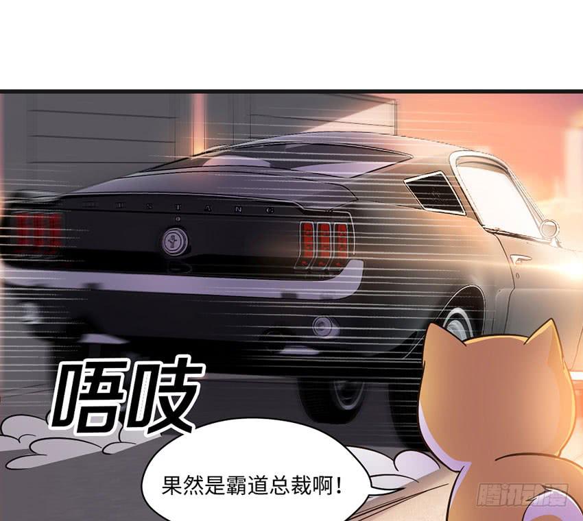 《单身少女单身狗》被买下来的甜品店 第28页