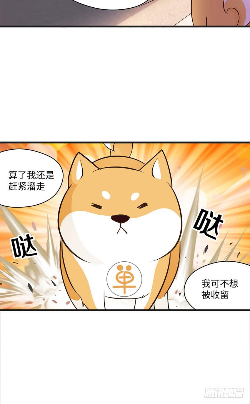 《单身少女单身狗》被买下来的甜品店 第29页