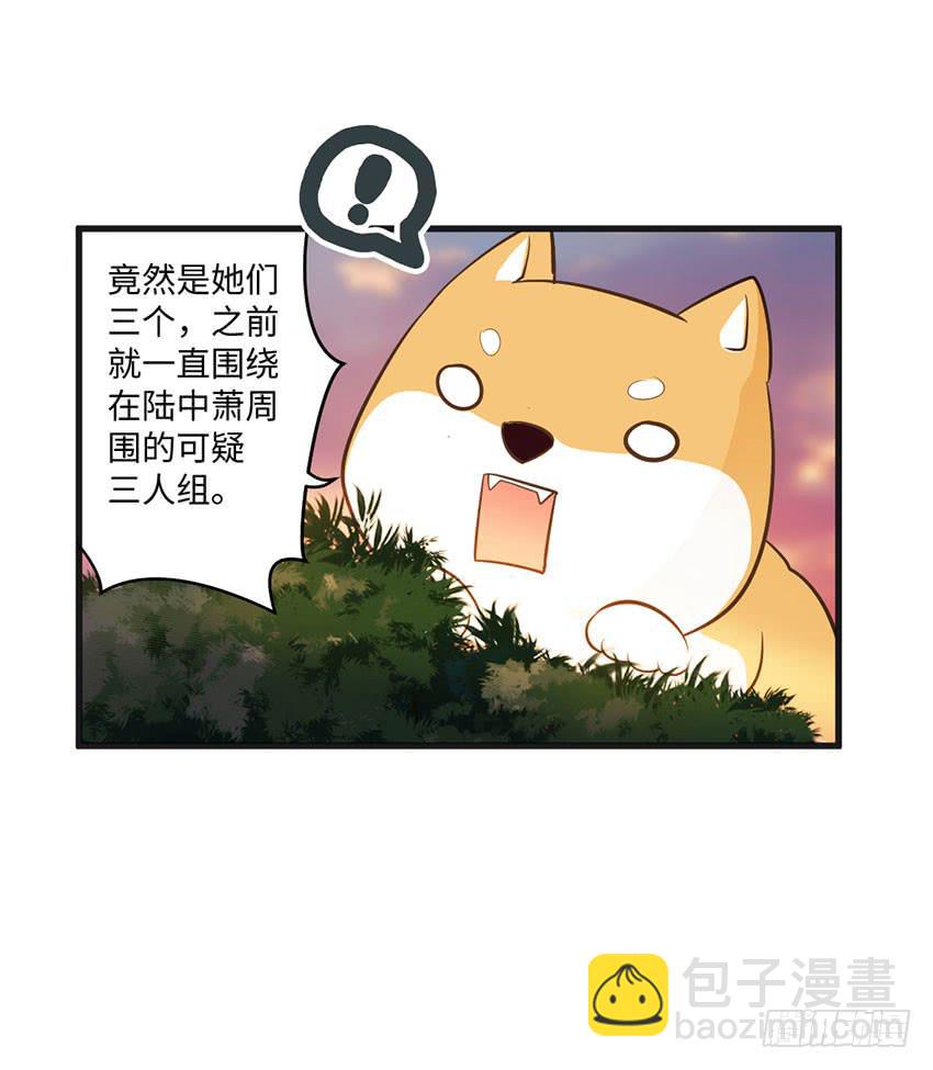 《单身少女单身狗》被买下来的甜品店 第38页