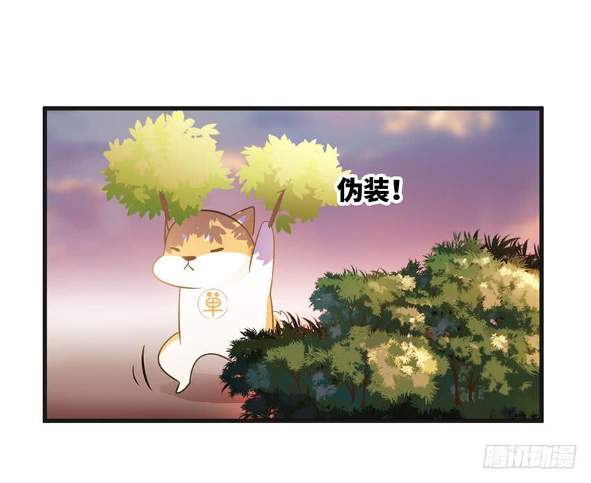 《单身少女单身狗》被买下来的甜品店 第44页