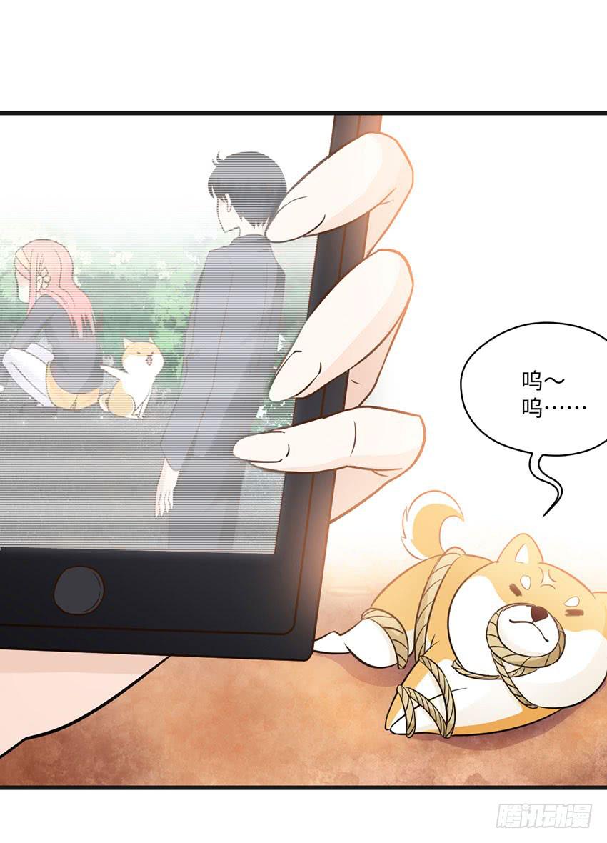 《单身少女单身狗》23·她...怎么样了？ 第43页