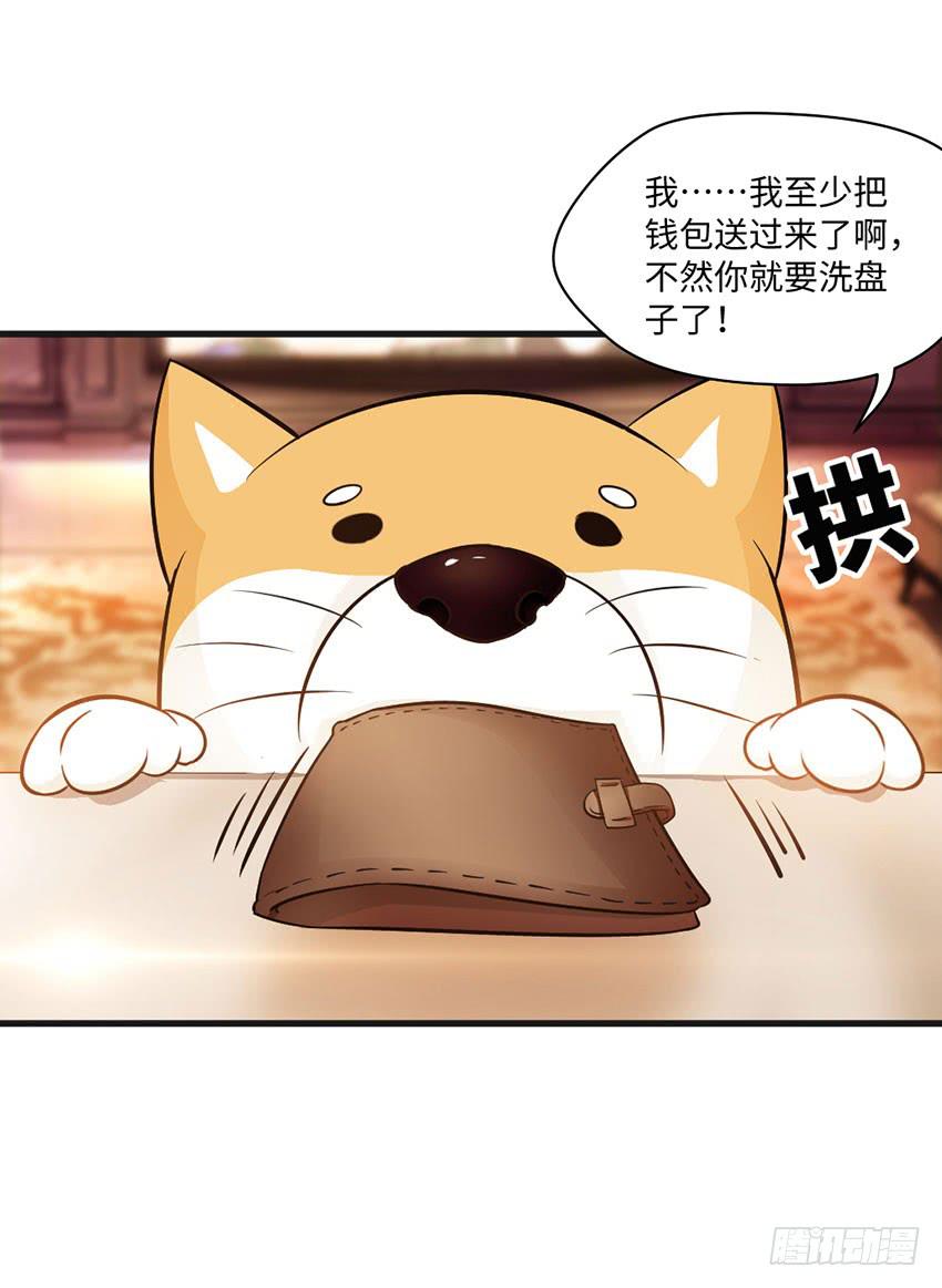 《单身少女单身狗》我总是在搞砸 第12页