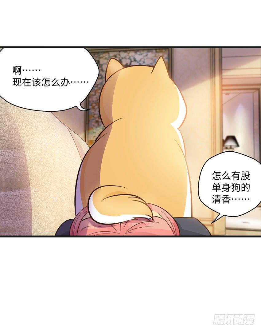 《单身少女单身狗》我总是在搞砸 第19页