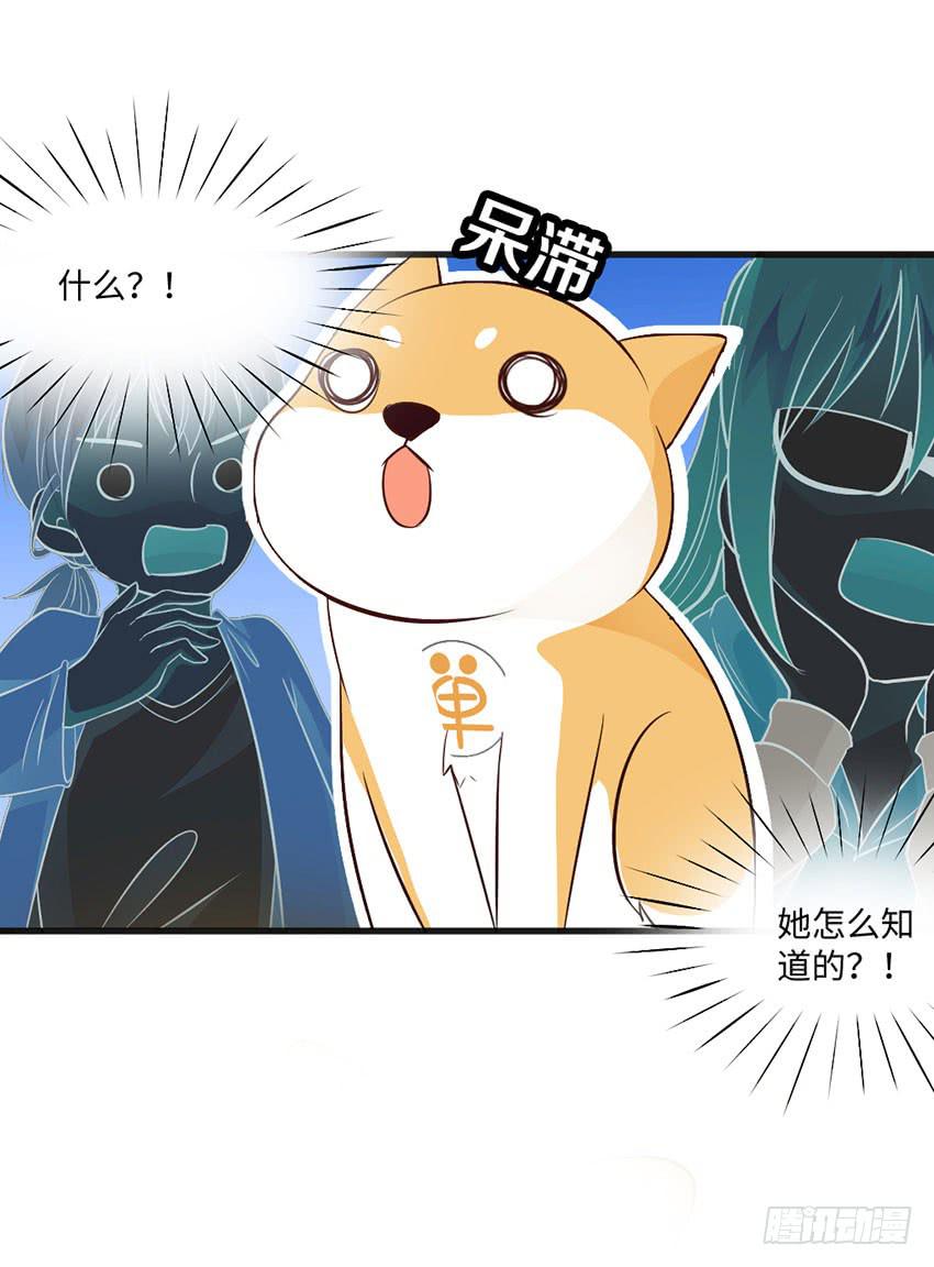 《单身少女单身狗》我总是在搞砸 第5页
