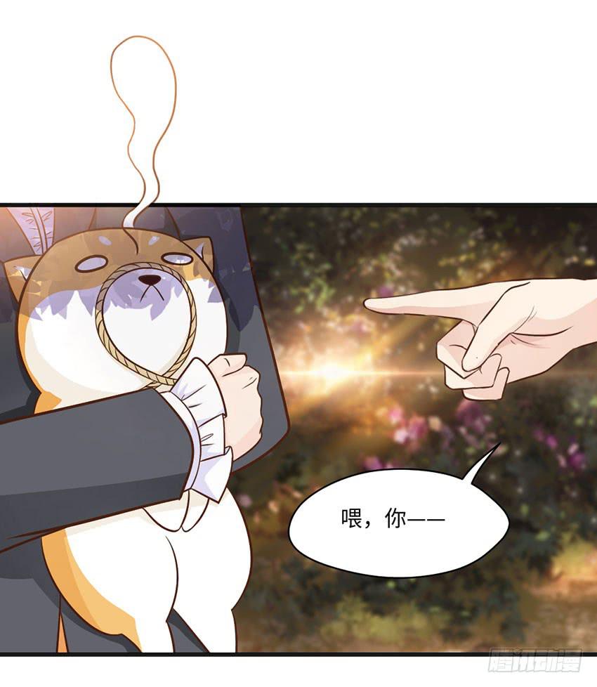 《单身少女单身狗》25·英雄救汪 第18页