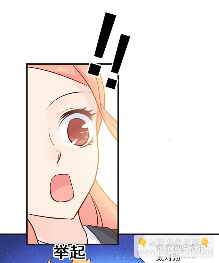 《单身少女单身狗》25·英雄救汪 第19页