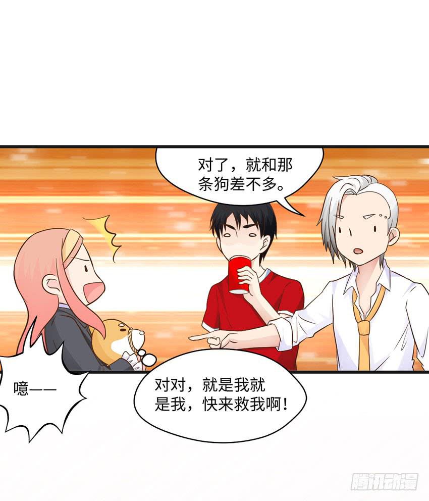 《单身少女单身狗》25·英雄救汪 第41页