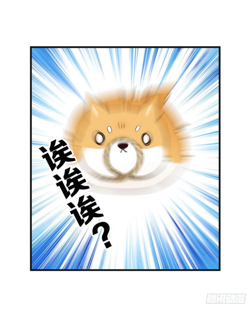 《单身少女单身狗》25·英雄救汪 第43页