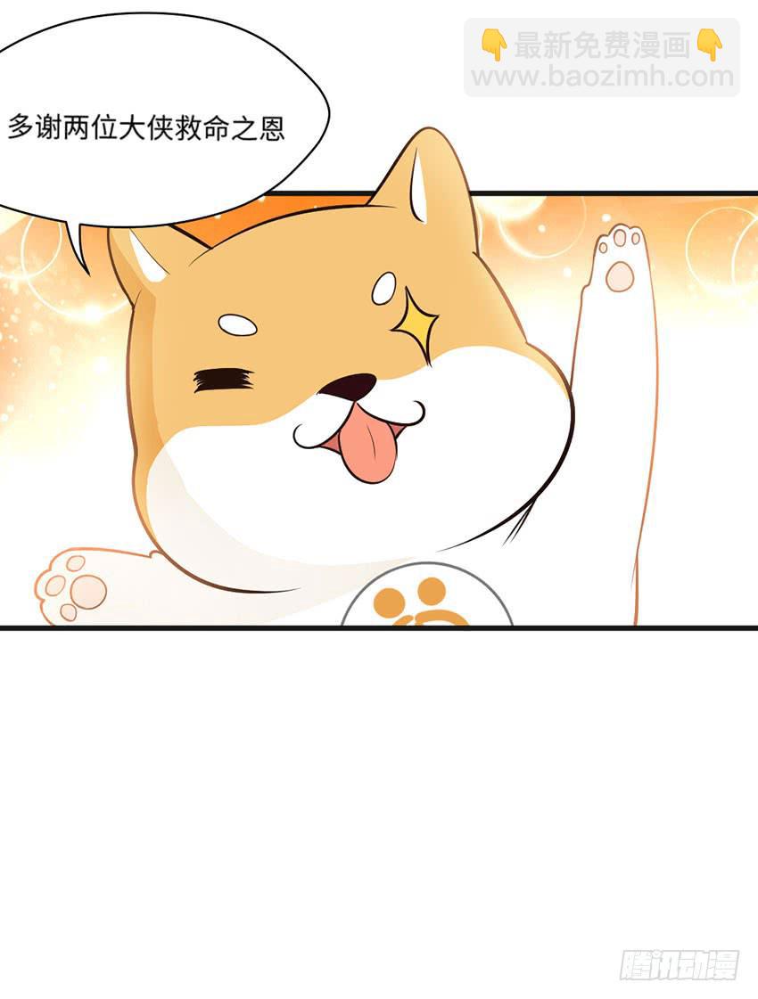 《单身少女单身狗》26·她喜欢我 第11页