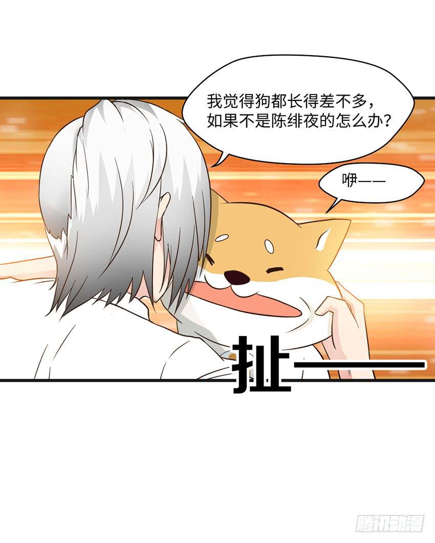 《单身少女单身狗》26·她喜欢我 第15页