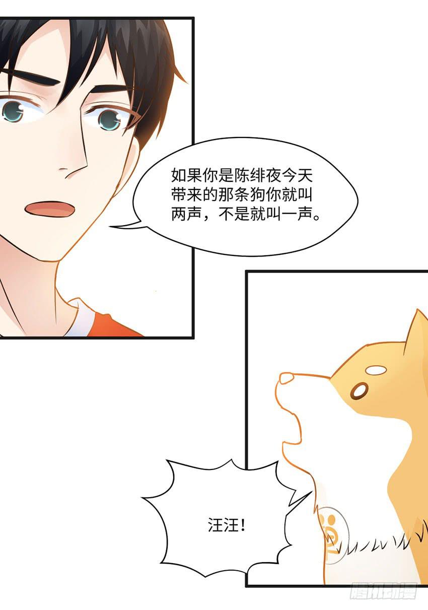 《单身少女单身狗》26·她喜欢我 第16页