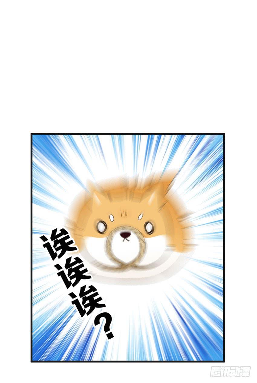 《单身少女单身狗》26·她喜欢我 第4页
