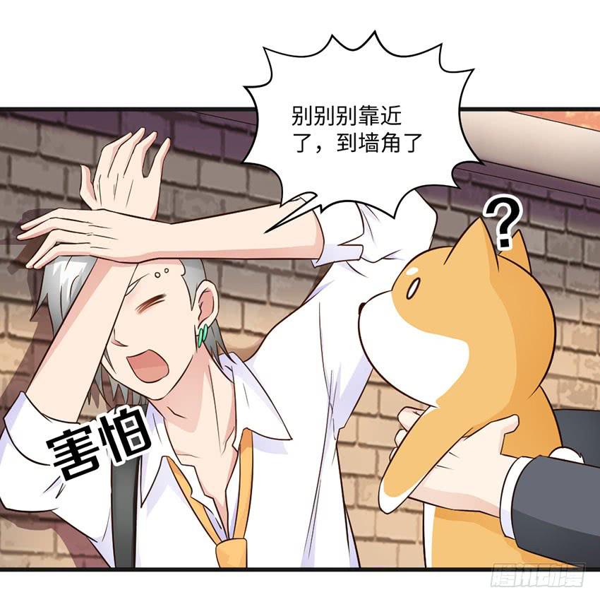 《单身少女单身狗》27·玄不救命，氪不改命 第21页