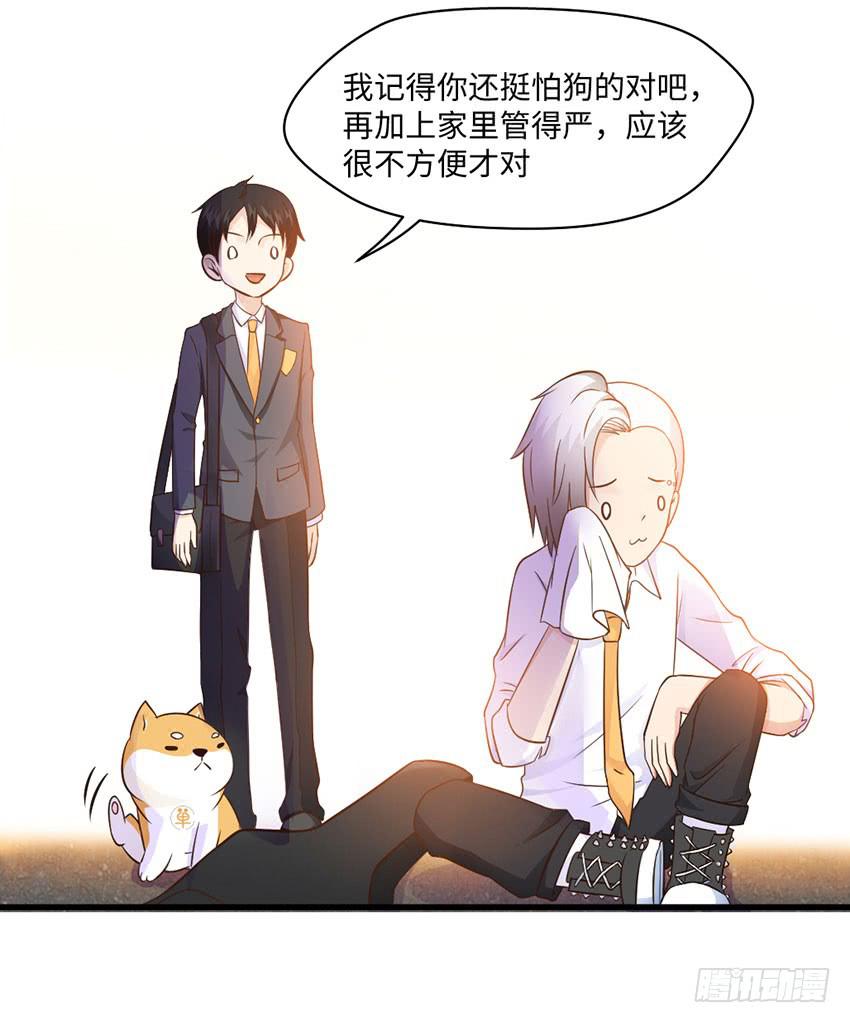 《单身少女单身狗》27·玄不救命，氪不改命 第24页