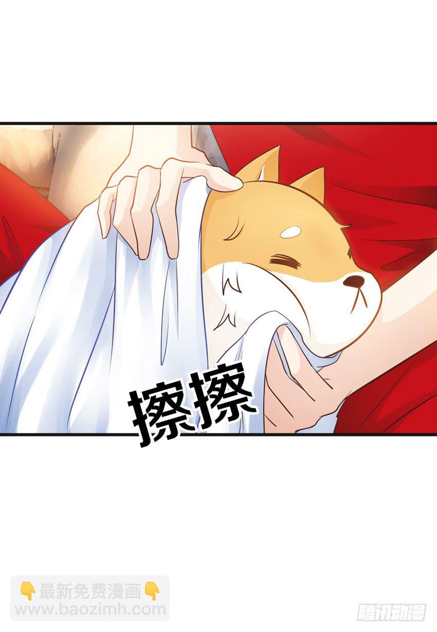 《单身少女单身狗》29·我也想吃啊！ 第20页