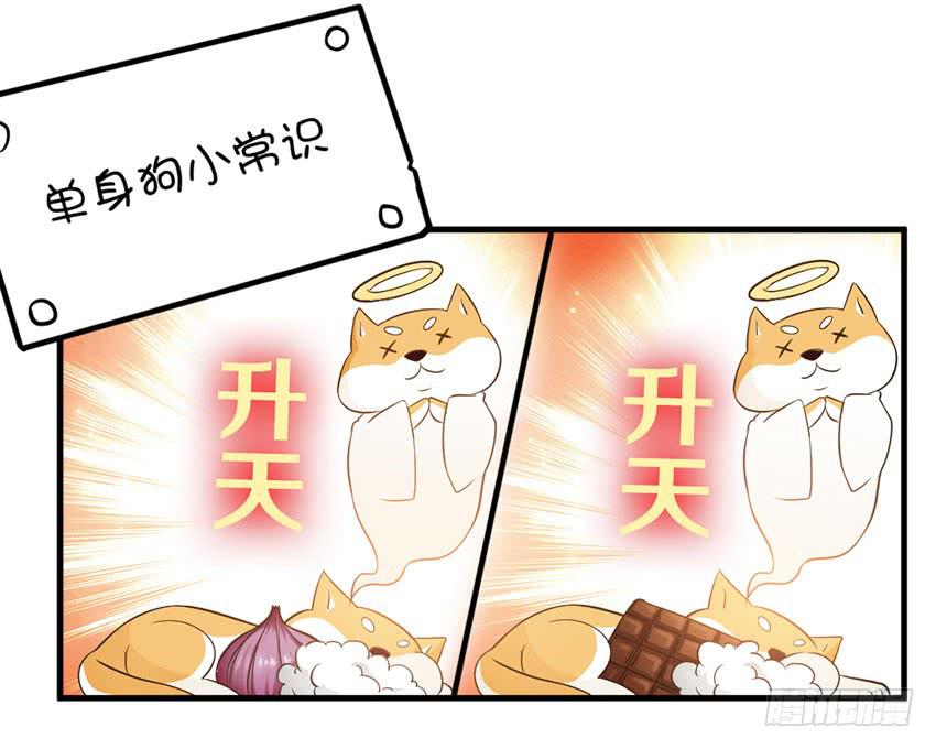《单身少女单身狗》29·我也想吃啊！ 第29页
