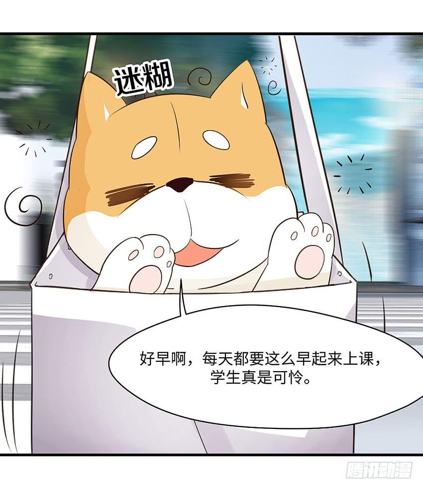 《单身少女单身狗》31·奇怪的十字路口 第19页