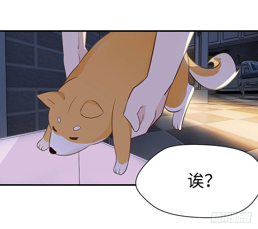 《单身少女单身狗》30·难眠之夜 第16页