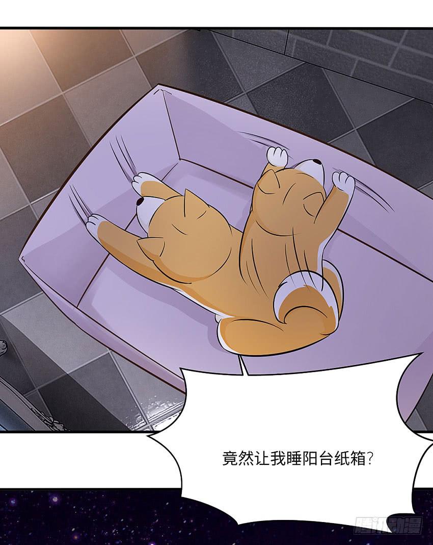 《单身少女单身狗》30·难眠之夜 第20页