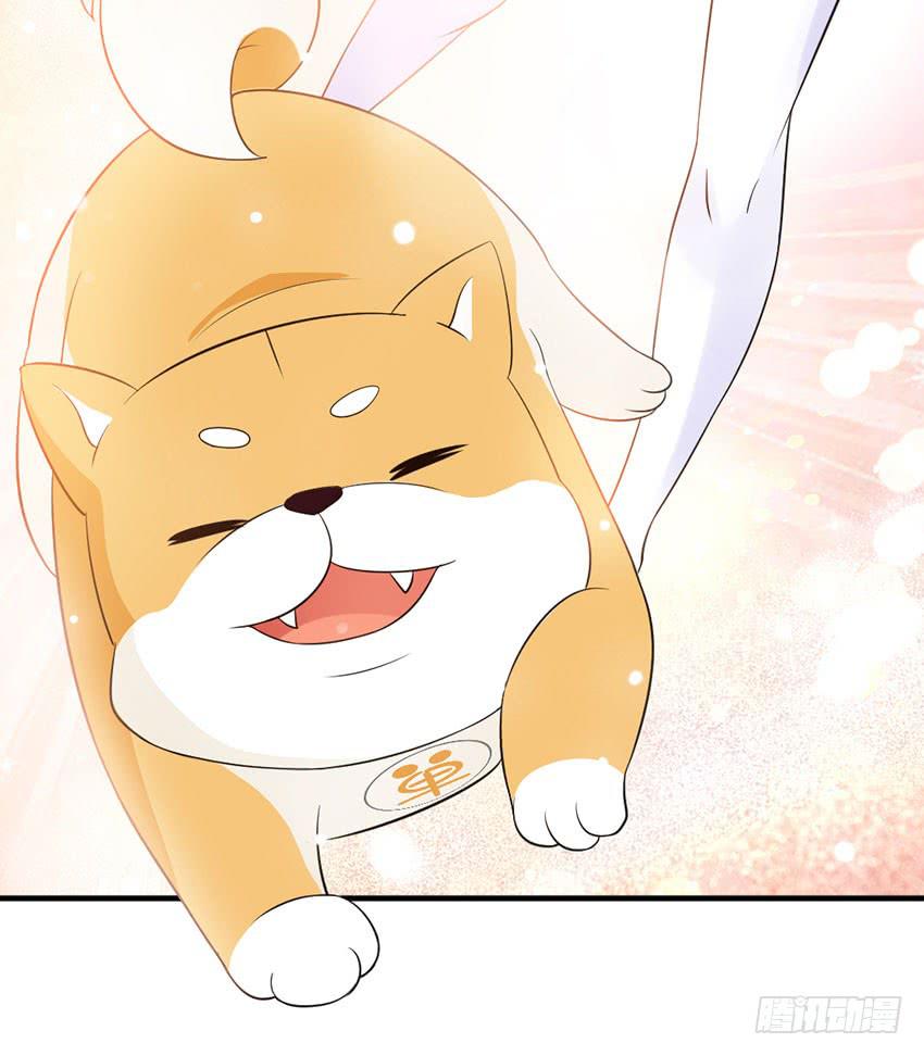 《单身少女单身狗》34·有阴谋？！ 第23页
